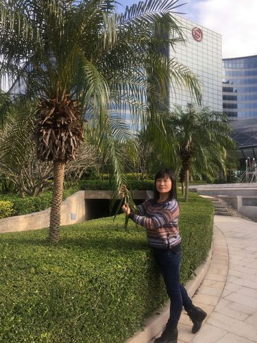 把校花🌸吊起来揉搓双乳兔女郎